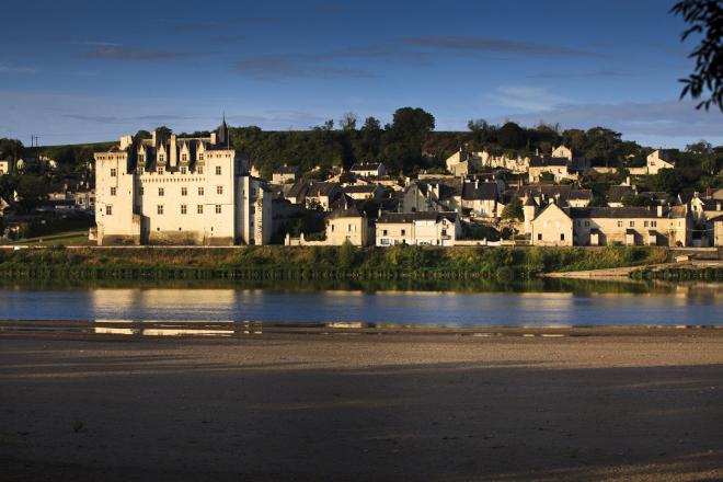 Montsoreau_vue générale ©J.-P. Berlose