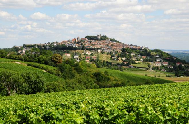 Sancerre et son vignoble